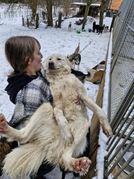 Sparky braver, liebevoller Hund🍀