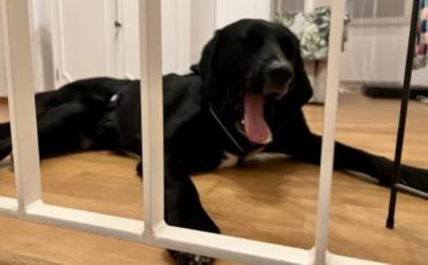 Jake Sully sucht seine eigene Familie