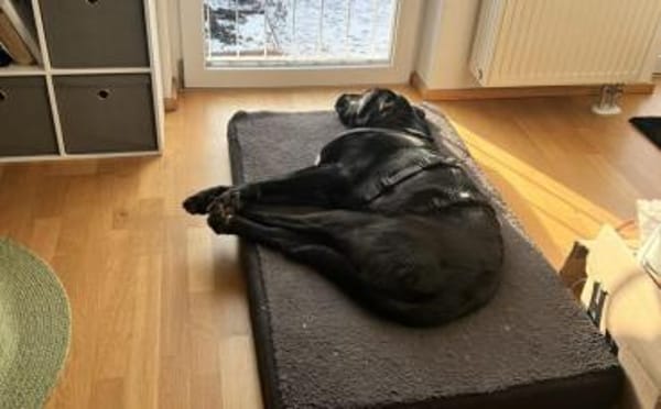 Jake Sully sucht seine eigene Familie