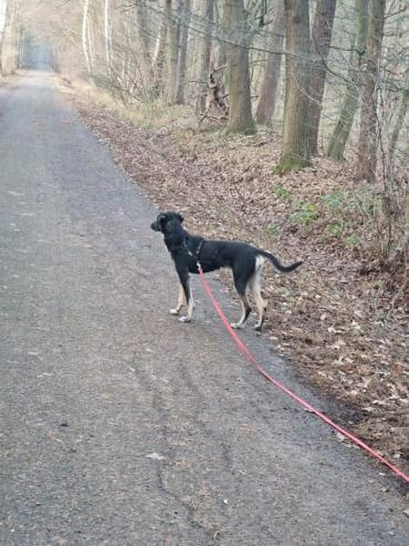 Nita - zarte freundliche Seele🍀