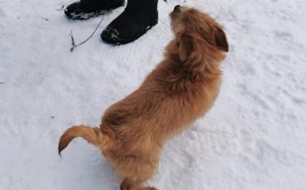 Die kleine Brie wartet auf dich