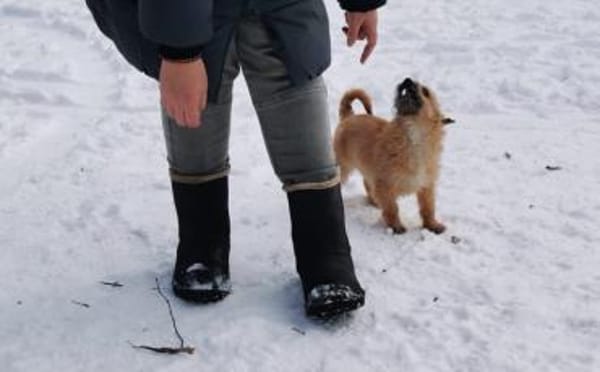 Die kleine Brie wartet auf dich