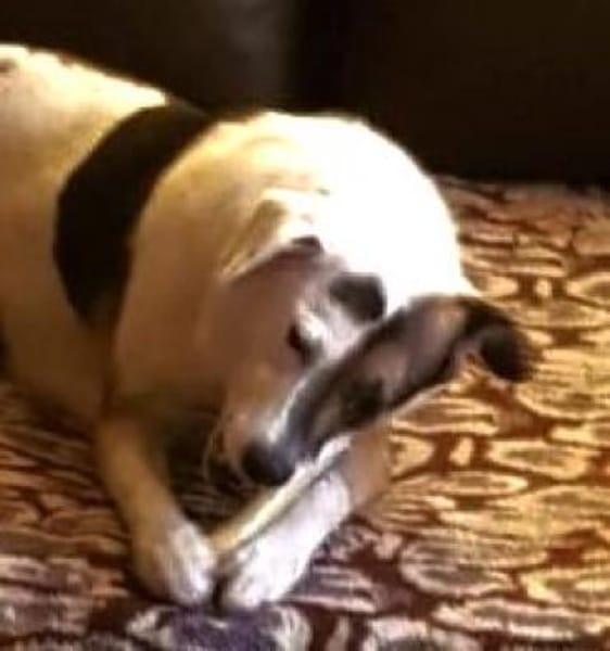 YACCI - wann eine CHANCE ?........