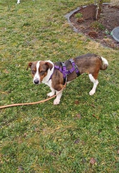 lieber Lumo auf PS in 91154