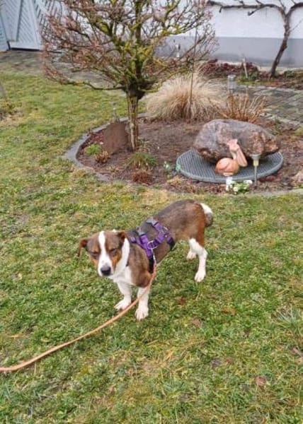 lieber Lumo auf PS in 91154