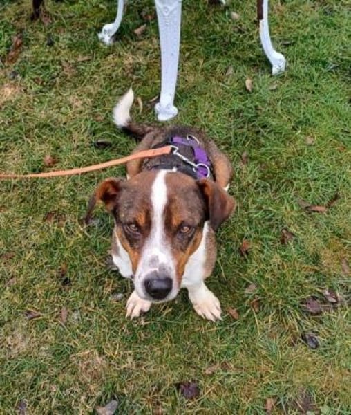 lieber Lumo auf PS in 91154