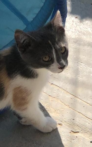 Hübsche Lydia raubt dir den Atem!