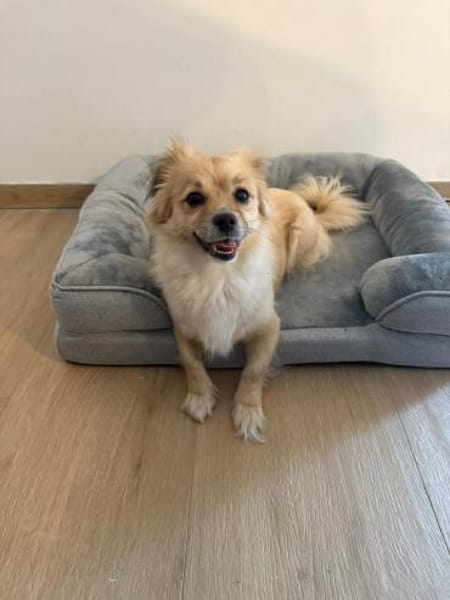 Sonnenschein Kira sucht ihre Familie