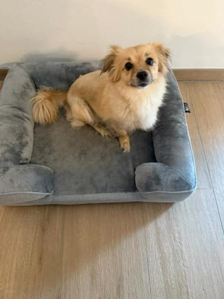 Sonnenschein Kira sucht ihre Familie