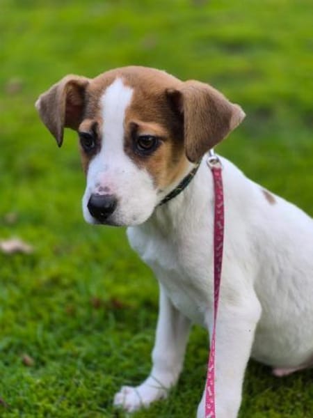 Mavi, Joker und Sontje suchen ein