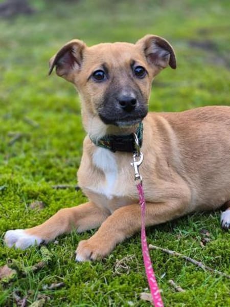 Mavi, Joker und Sontje suchen ein