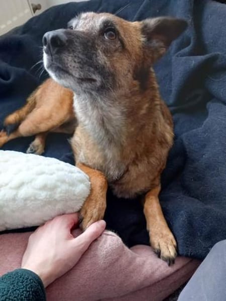 NISHA sucht eine aktive Familie