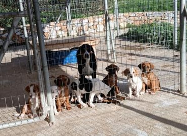 Mama Ramona sehnt sich nach LIebe