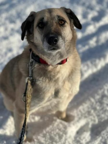 ATIA * gemütliche Dame m. Lust auf Leben