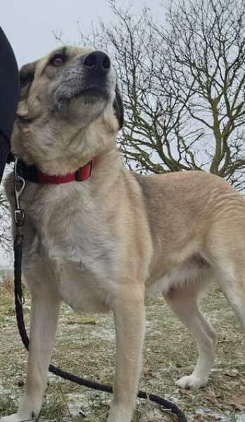 ATIA * gemütliche Dame m. Lust auf Leben