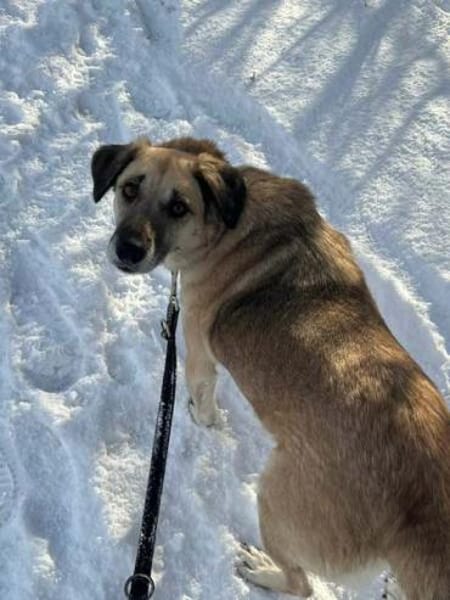 ATIA * gemütliche Dame m. Lust auf Leben