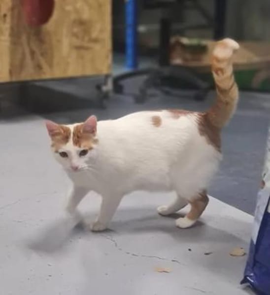 Denis Powerschmuser sucht tolle Familie