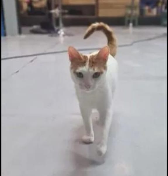 Denis Powerschmuser sucht tolle Familie