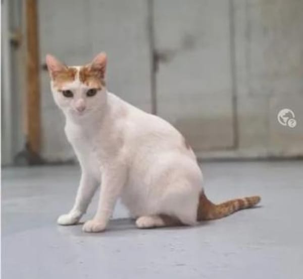 Denis Powerschmuser sucht tolle Familie