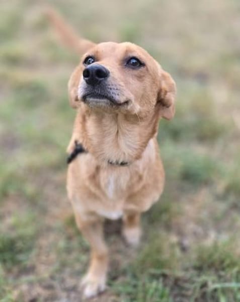 GESELLIGE KLEINFAMILIE