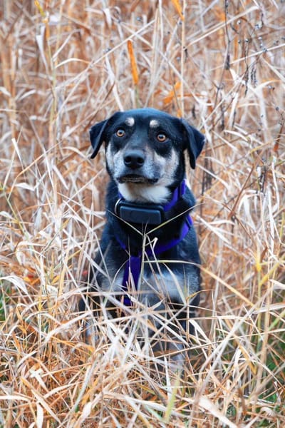 Elke - eine sensible Begleiterin