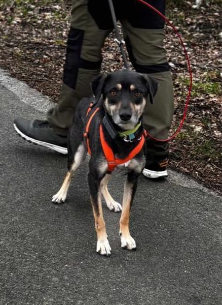 Elke - eine sensible Begleiterin