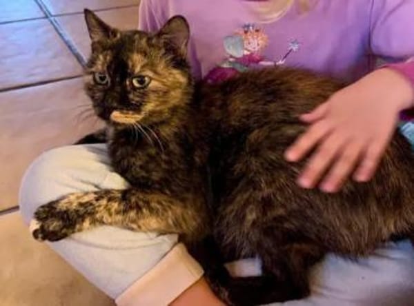 Lili & Bibi Kleines Dreamteam