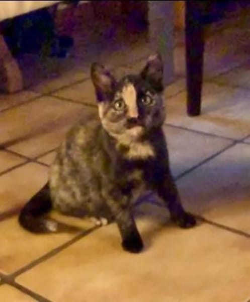 Lili & Bibi Kleines Dreamteam