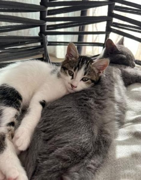 Molly & Tommi Verkuscheltes Dreamteam