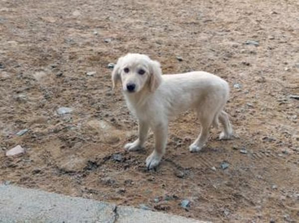 Gioia möchte Sie durchs Leben begleiten