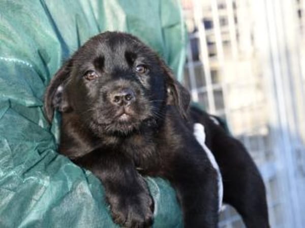 Palma möchte Ihnen Freude bereiten