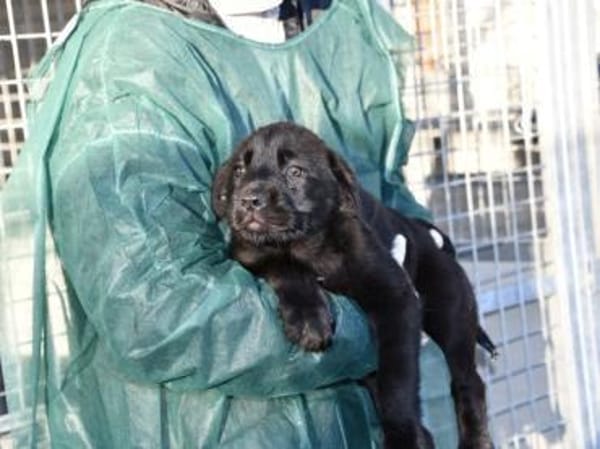 Palma möchte Ihnen Freude bereiten