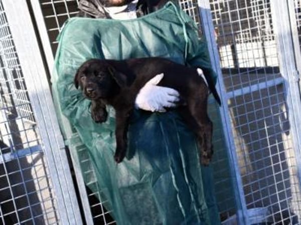 Palma möchte Ihnen Freude bereiten