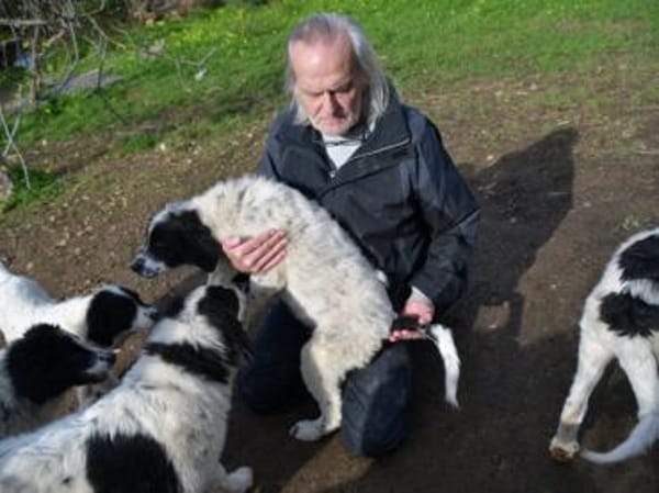 Liebenswerter Lenny sucht Familie