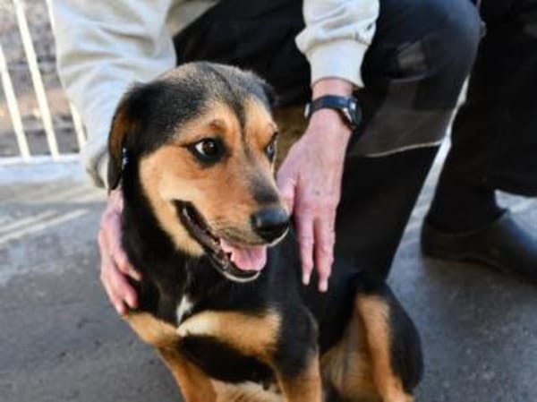 Darf Atena zu Ihrer Familie gehören?