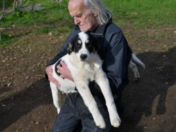 Aufgeschlossener Lele sucht Familie