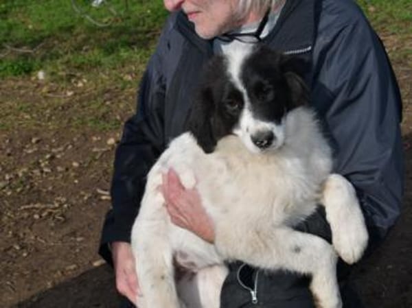 Letizia hofft auf ihre Chance