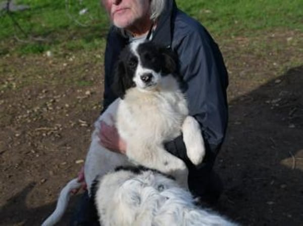 Letizia hofft auf ihre Chance