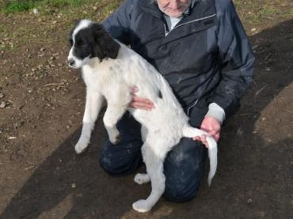 Letizia hofft auf ihre Chance