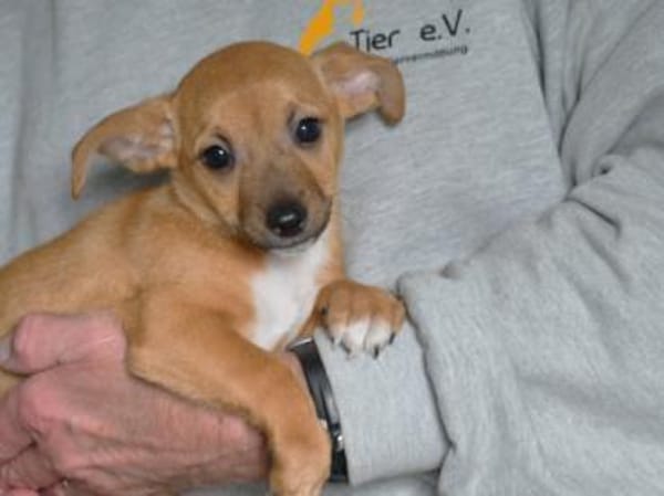 Nehmen Sie Shelli bei sich auf?