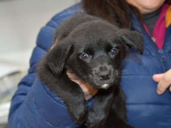 Nike möchte geliebt werden