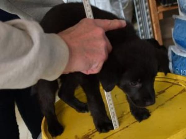 Nike möchte geliebt werden