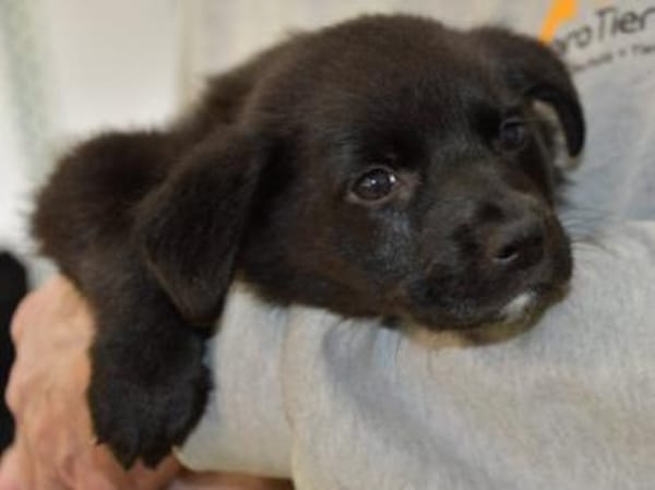 Nike möchte geliebt werden