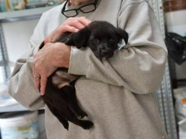 Nike möchte geliebt werden