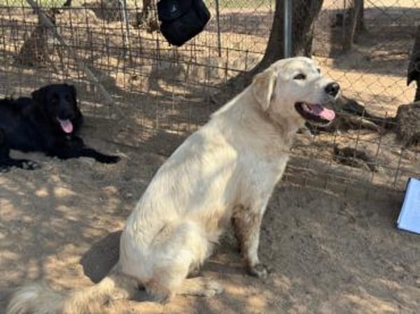 Alex sucht liebe Menschen