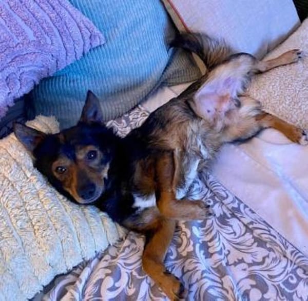 Jerry: Befreit von der Kette...