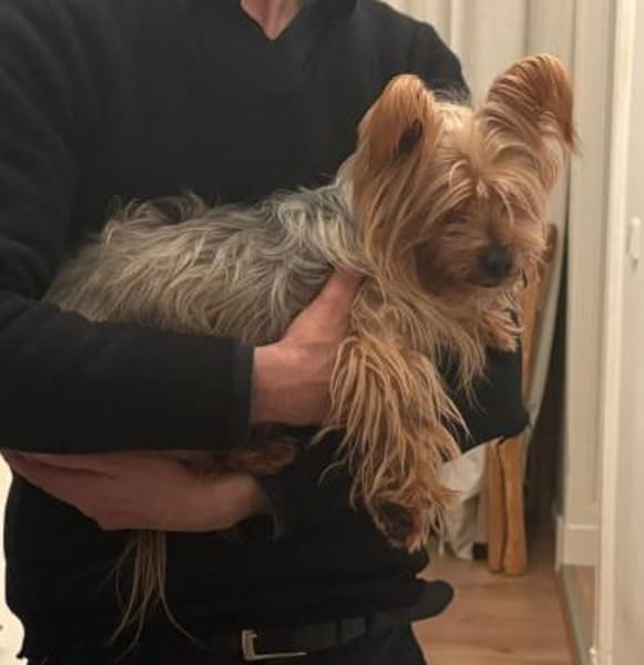 Cooper , kleiner Halunke