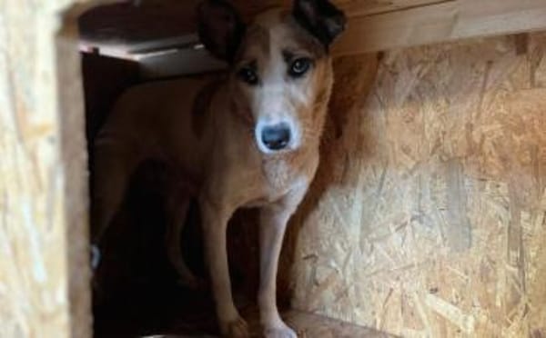 Fine sucht ihren sicheren Hafen