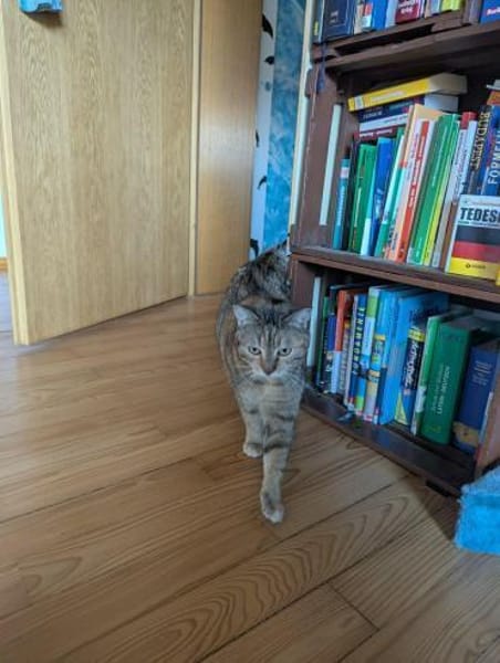 Mia und Olimba wollen zusammen bleiben