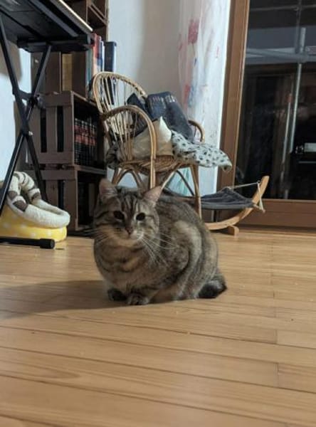 Mia und Olimba wollen zusammen bleiben